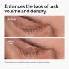 imageThe Ordinary MultiPeptide Lash and Brow Serum PeptidePowered Formula for Thicker Fuller Looking Lashes ampamp Brows016 Fl Oz Pack of 2
